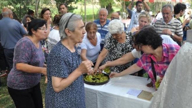 Ermeni Cemaati Sivas´ta ´Üzüm Kutsama Bayramı´nı Kutladı