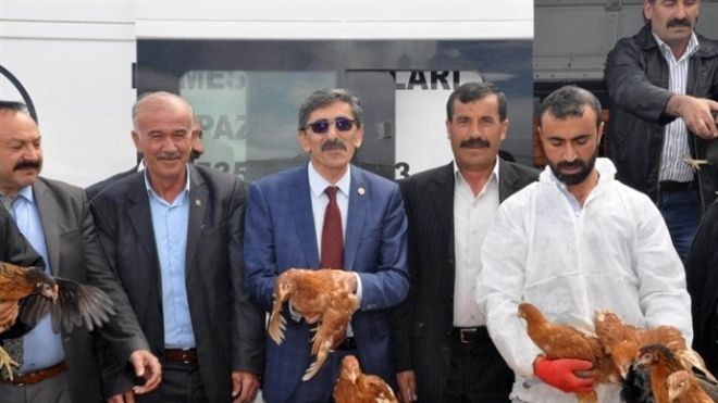 Sivas´ta Çiftçilere 10 Bin Tavuk Dağıtıldı