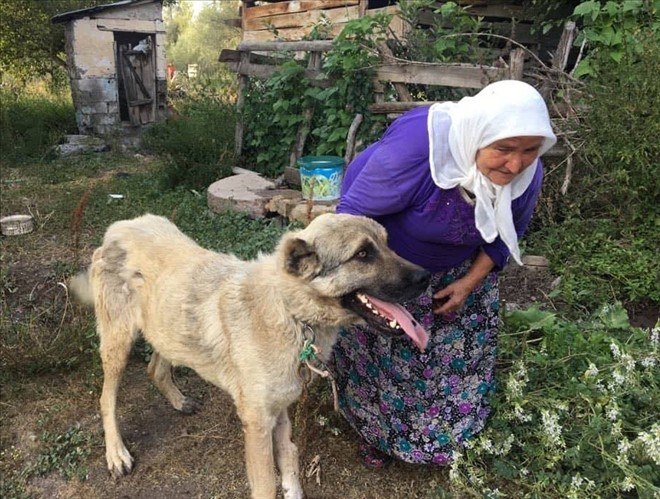 Gözyaşlarıyla tedaviye gönderdiği köpeğini mutlulukla karşıladı