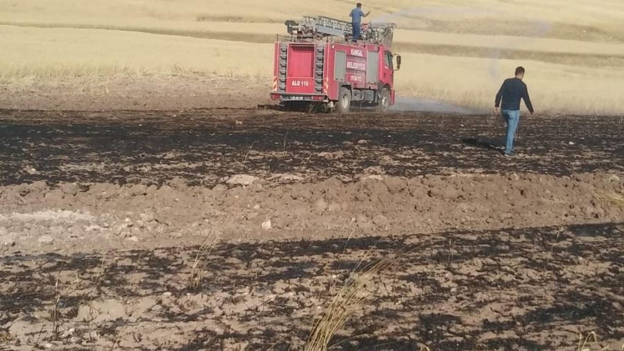  70 dönüm ekibi buğday tarlası yandı 
