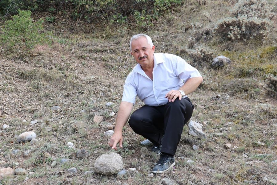 Sivas’ta 55 milyon yıllık deniz canlısı fosili bulundu 