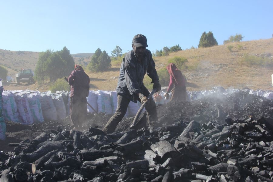 Covid-19 mangal kömürü üreticilerini vurdu