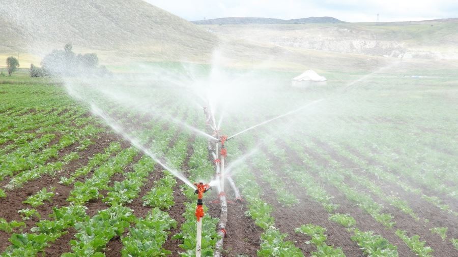 Sivas’ta sulu tarım ile ülke ekonomisine milyarlık katkı sağlanacak