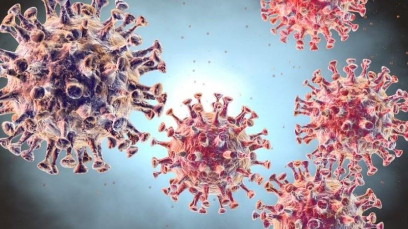 Gizli Koronavirüs raporu ortaya çıktı
