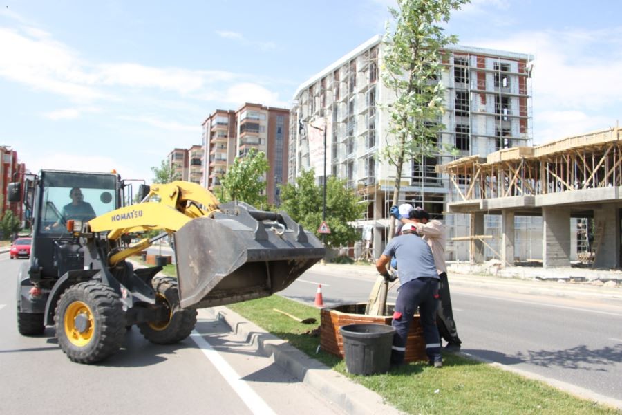 Belediye ağaçlandırma çalışmalarını sürdürüyor 