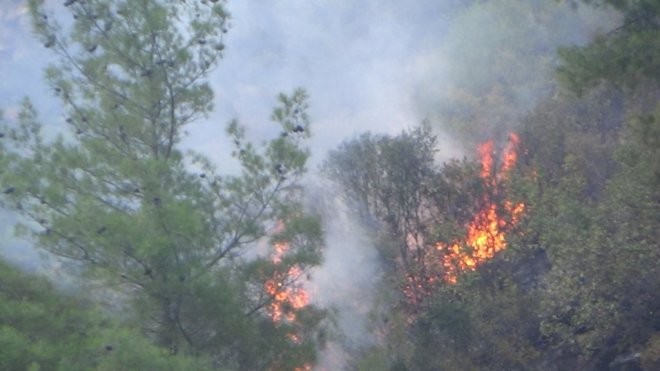 Sivas`ta Orman Yangını