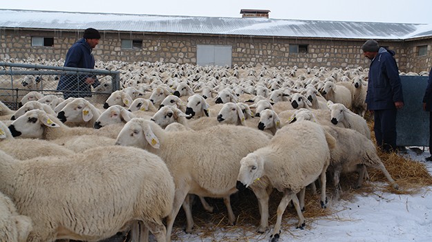 166 kişi sertifika aldı