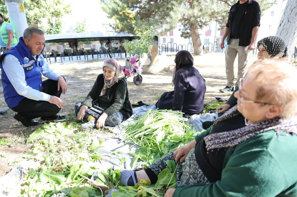 Dal turşusunun lezzet yolculuğu 