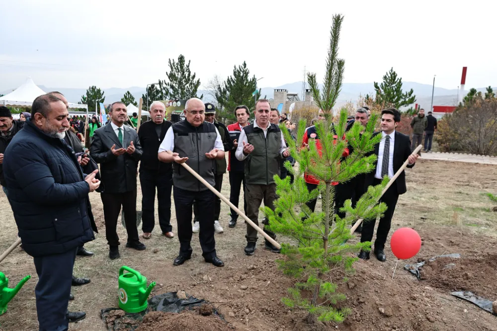 Sivas’ta Millî Ağaçlandırma Gününde 90 Bin Fidan Toprakla Buluştu