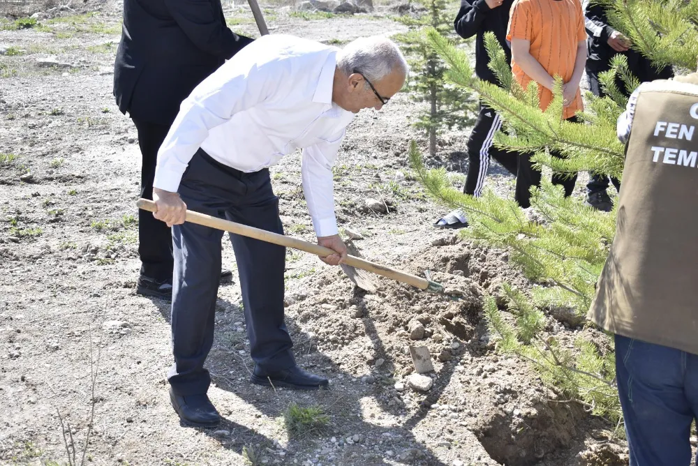 Sivas OSB’de fidanlar toprakla buluştu