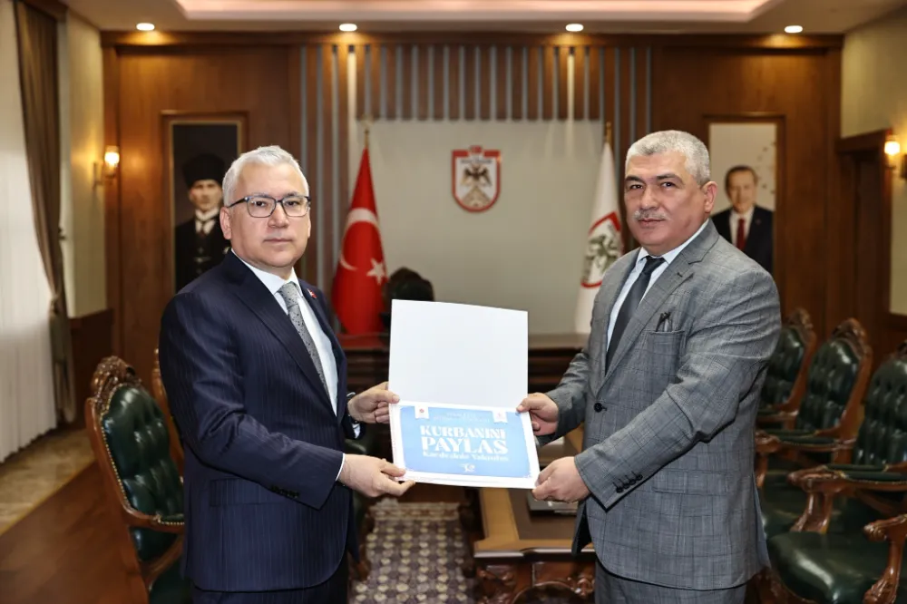 Şimşek, TDV