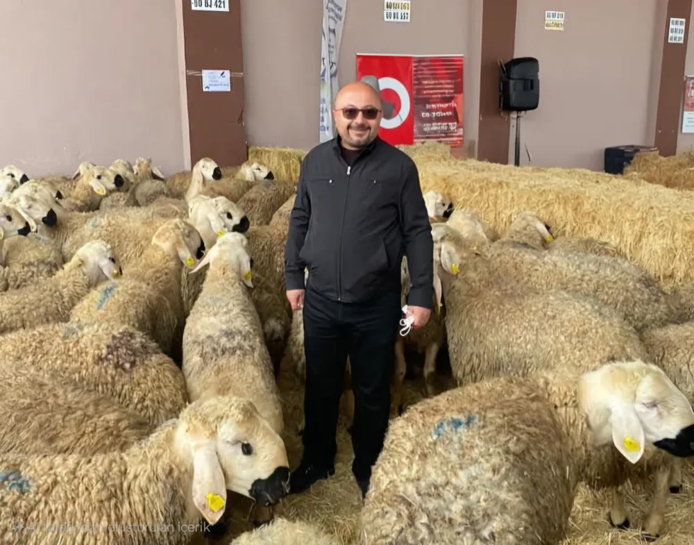 Kangal’da Şap Hastalığı İddialarına Borsa