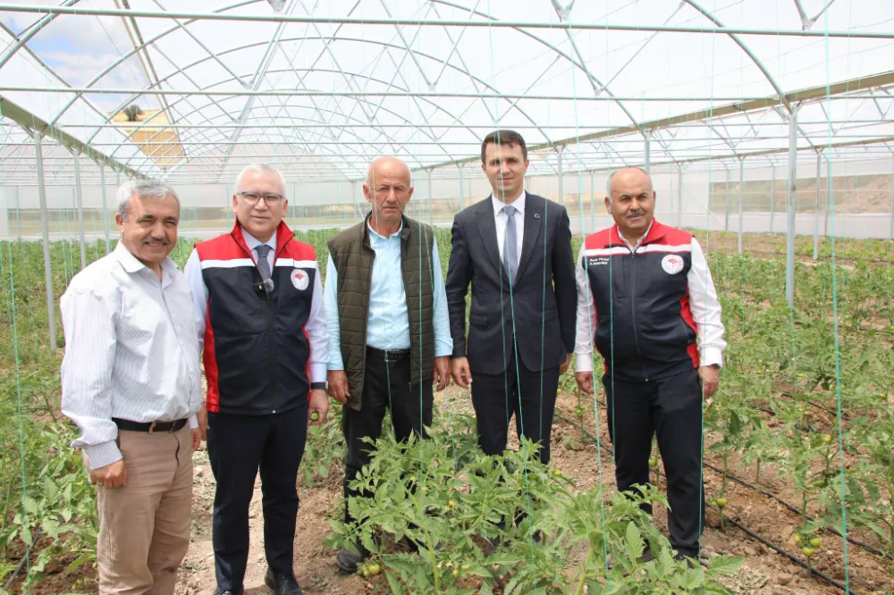 Vali Şimşek’ten Akıncılar’da Seraya Ziyaret: Salatalık Hasadı Yaptı